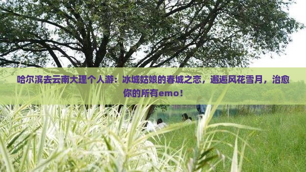 哈尔滨去云南大理个人游