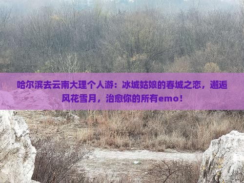 哈尔滨去云南大理个人游