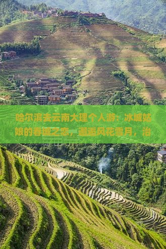 哈尔滨去云南大理个人游