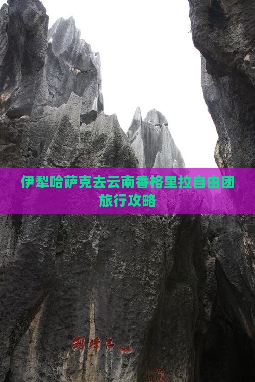 伊犁哈萨克去云南香格里拉自由团