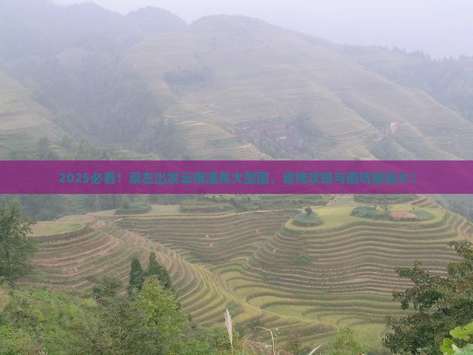 崇左去云南温泉大型旅游团