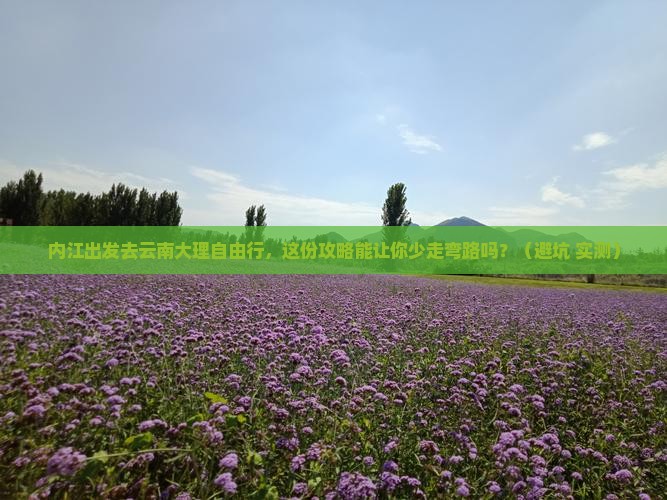 内江到云南大理自由行