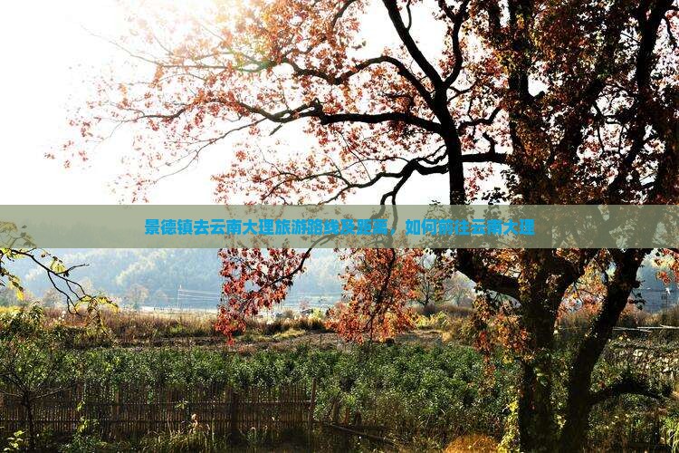 景德镇去云南大理旅游 景德镇去云南大理旅游