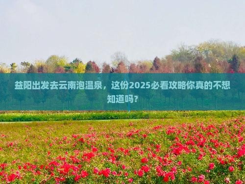 益阳到云南温泉二日游