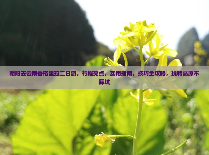 朝阳去云南香格里拉二日游 朝阳去云南香格里拉二日游