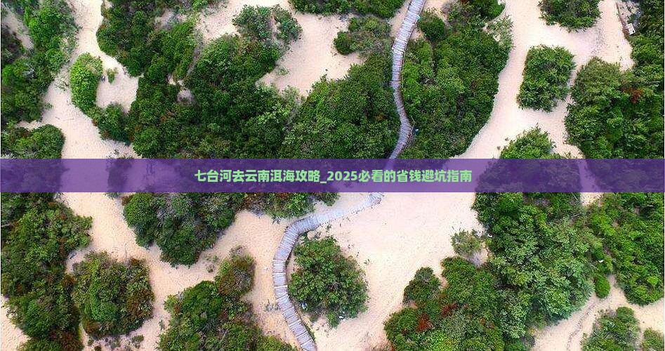 七台河去云南洱海攻略