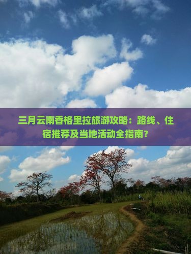 三月云南香格里拉旅游攻略：路线、住宿推荐及当地活动全指南？