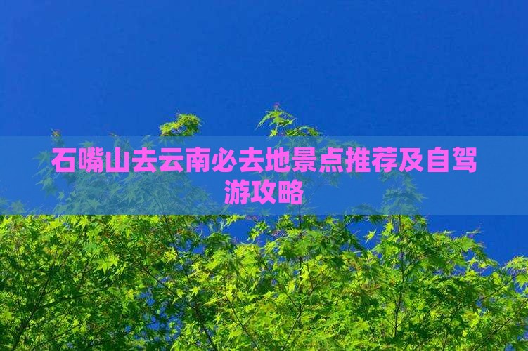 石嘴山去云南必去地景点推荐及自驾游攻略