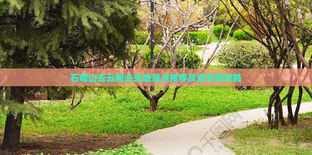 石嘴山去云南必去地景点推荐及自驾游攻略