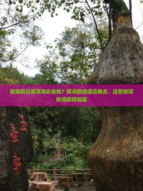 娄底到云南洱海必去地？解决路途遥远痛点，这些新词热词你得知道