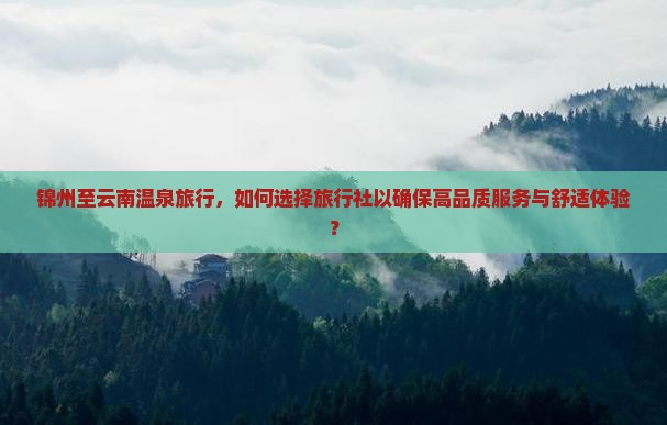 锦州至云南温泉旅行，如何选择旅行社以确保高品质服务与舒适体验？