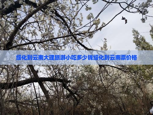 绥化到云南大理旅游小吃多少钱绥化到云南票价格