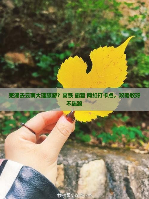 芜湖去云南大理旅游？高铁+露营+网红打卡点，攻略收好不迷路