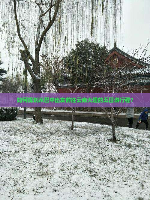 如何规划从巴中出发前往云南大理的五日游行程？