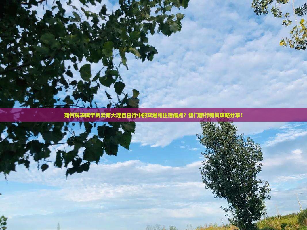 如何解决咸宁到云南大理自由行中的交通和住宿痛点？热门旅行新词攻略分享！