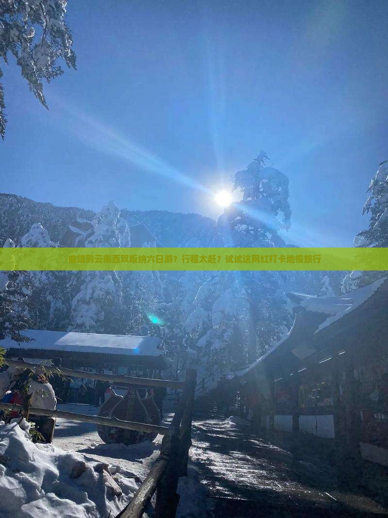 曲靖到云南西双版纳六日游？行程太赶？试试这网红打卡地慢旅行