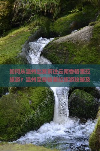 如何从温州出发前往云南香格里拉旅游？温州至香格里拉旅游攻略及行程规划指南