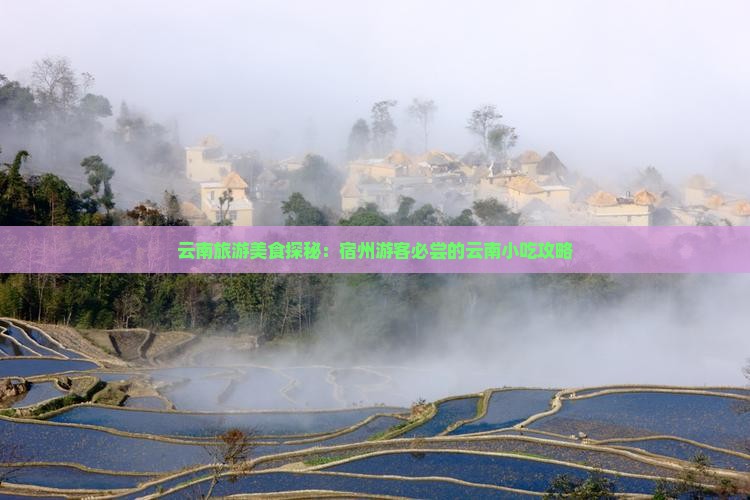 云南旅游美食探秘：宿州游客必尝的云南小吃攻略