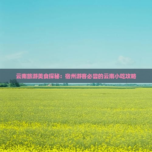 云南旅游美食探秘：宿州游客必尝的云南小吃攻略
