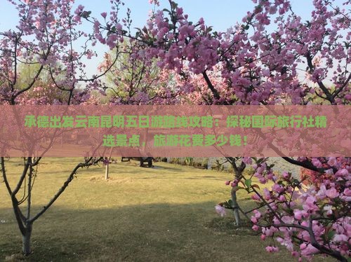 承德出发云南昆明五日游路线攻略：探秘国际旅行社精选景点，旅游花费多少钱！