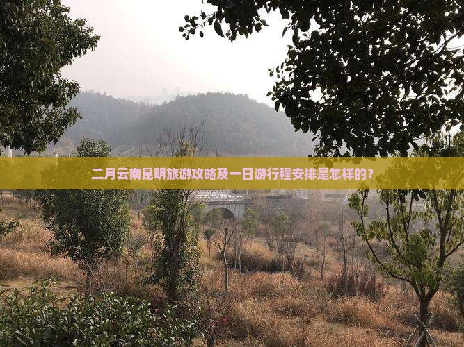 二月云南昆明旅游攻略及一日游行程安排是怎样的？