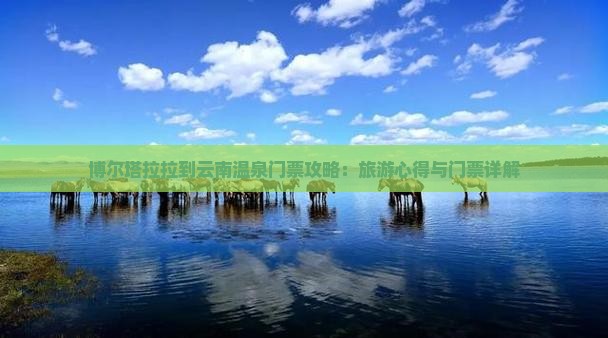 博尔塔拉拉到云南温泉门票攻略：旅游心得与门票详解