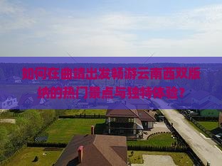 如何在曲靖出发畅游云南西双版纳的热门景点与独特体验？