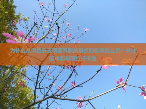 为什么从清远去云南西双版纳景点的机票这么贵？关注碳中和与网红打卡地