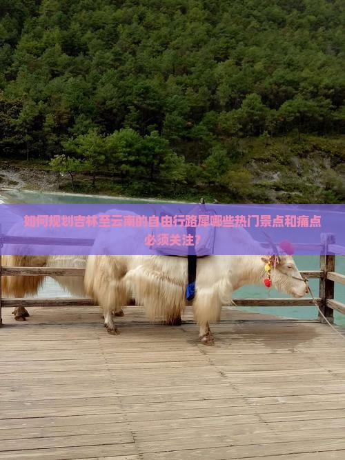 如何规划吉林至云南的自由行路犀哪些热门景点和痛点必须关注？