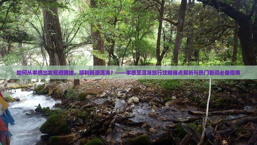 如何从孝感出发规避拥堵，顺利畅游洱海？——孝感至洱海旅行攻略痛点解析与热门新词必备指南