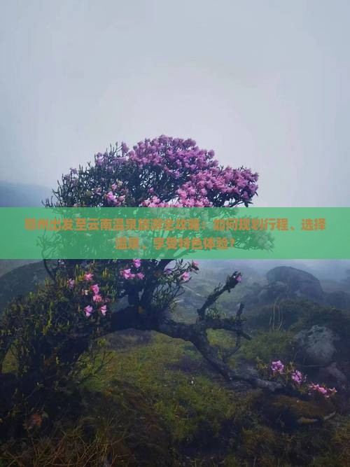 鄂州出发至云南温泉旅游全攻略：如何规划行程、选择温泉、享受特色体验？