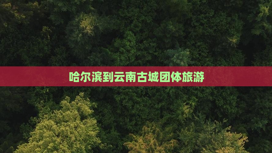 哈尔滨到云南古城团体旅游