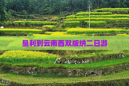 垦利到云南西双版纳二日游