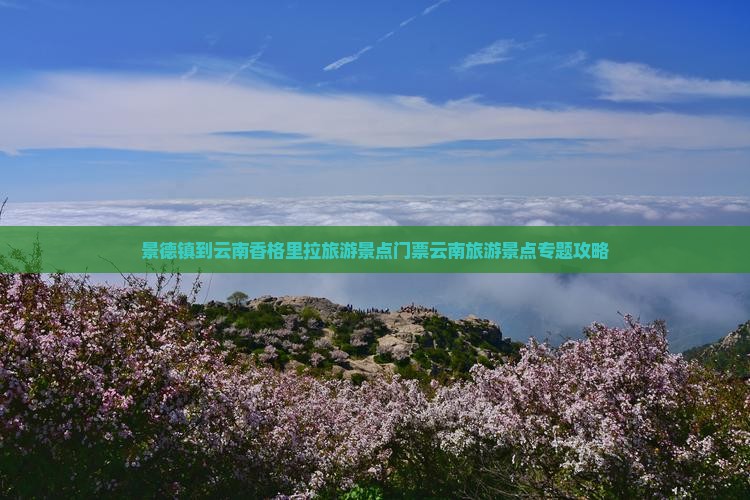 景德镇到云南香格里拉旅游景点门票云南旅游景点专题攻略