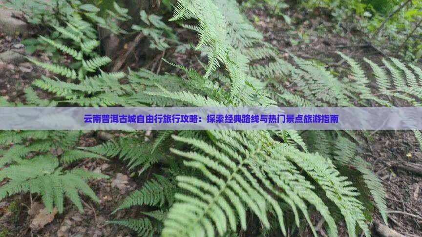 云南普洱古城自由行旅行攻略：探索经典路线与热门景点旅游指南