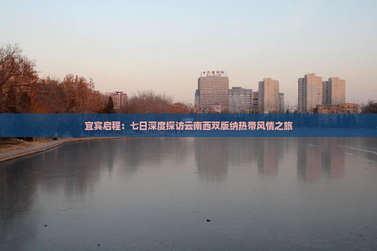 宜宾启程：七日深度探访云南西双版纳热带风情之旅