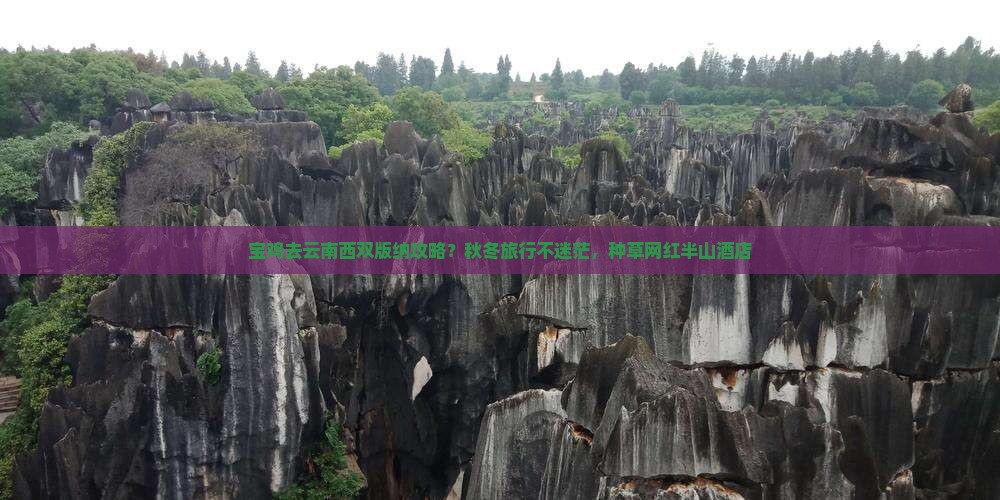 宝鸡去云南西双版纳攻略？秋冬旅行不迷茫，种草网红半山酒店