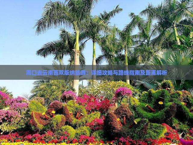 周口去云南西双版纳旅游：详细攻略与路线指南及距离解析