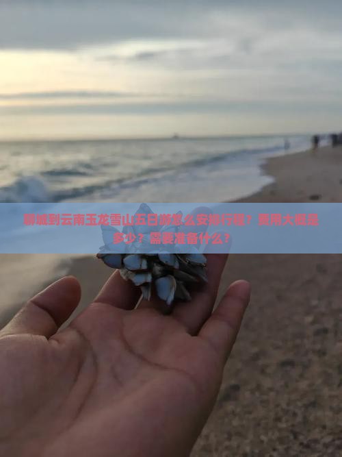 聊城到云南玉龙雪山五日游怎么安排行程？费用大概是多少？需要准备什么？