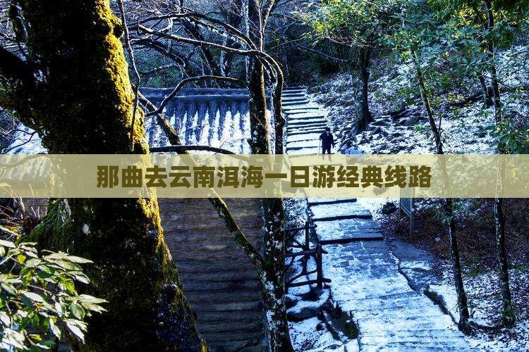 那曲去云南洱海一日游经典线路