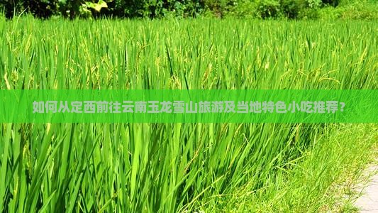 如何从定西前往云南玉龙雪山旅游及当地特色小吃推荐？