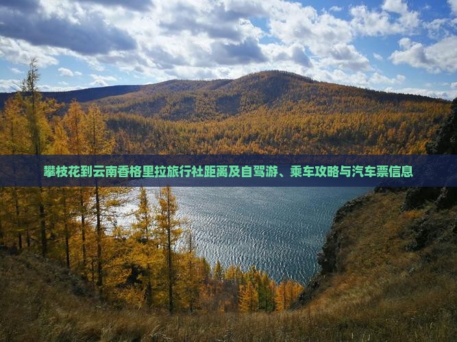攀枝花到云南香格里拉旅行社距离及自驾游、乘车攻略与汽车票信息