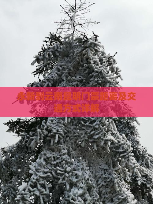 永新到云南昆明门票距离及交通方式详解