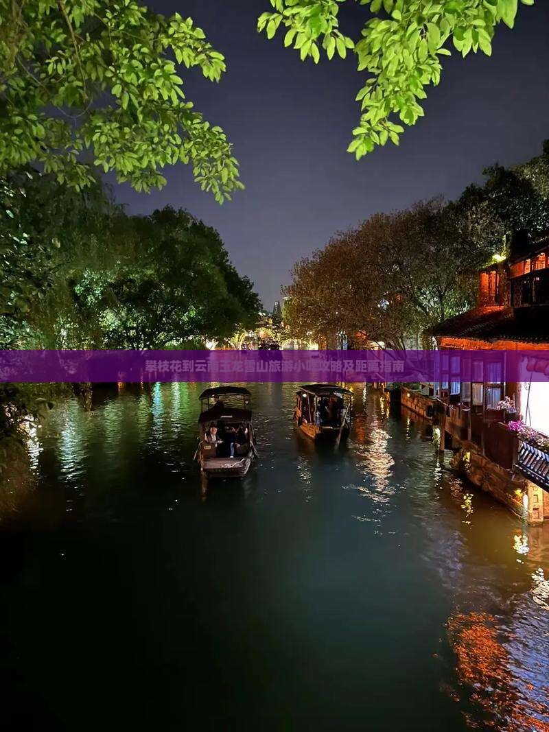 攀枝花到云南玉龙雪山旅游小吃攻略及距离指南