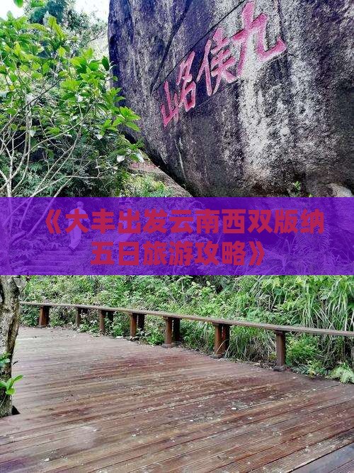 《大丰出发云南西双版纳五日旅游攻略》