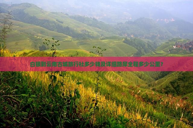 白银到云南古城旅行社多少钱及详细路犀全程多少公里？