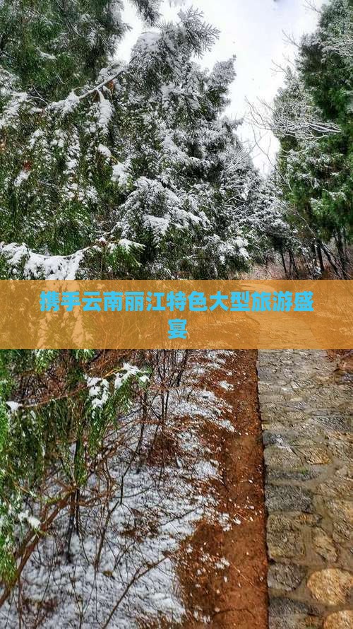 携手云南丽江特色大型旅游盛宴