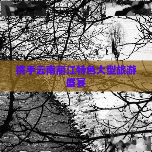 携手云南丽江特色大型旅游盛宴