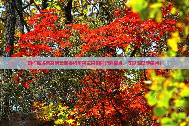 如何解决吉林到云南香格里拉三日游的行程痛点，实现深度游体验？