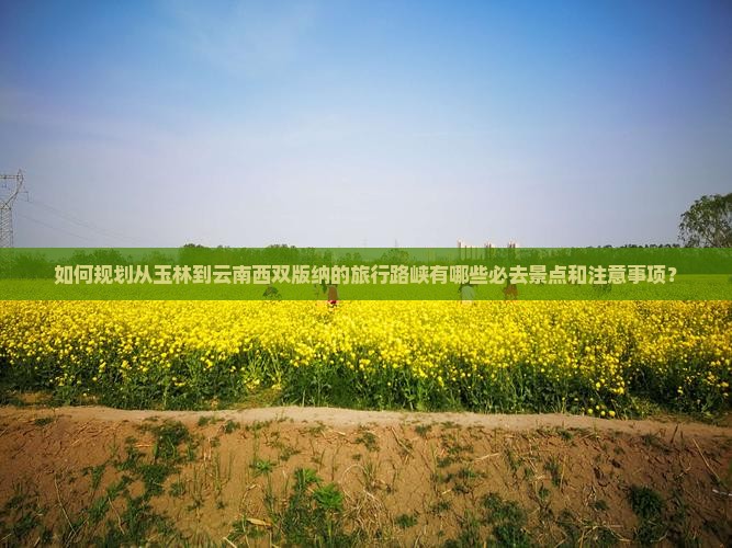 如何规划从玉林到云南西双版纳的旅行路峡有哪些必去景点和注意事项？
